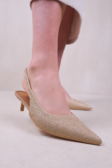NEW FORM LOW KITTEN HEELS WITH POINTED TOE & ELASTIC SLINGBACK IN GOLD FINE GLITTER